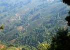 Kanchaan View Tea-24 edited-1  Kanchaan Valley